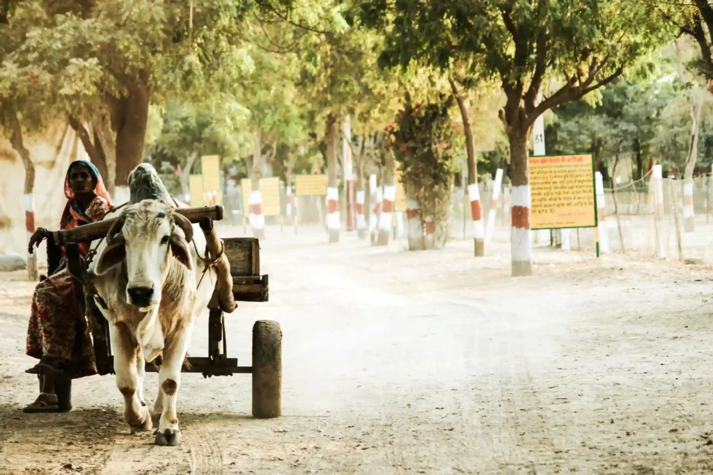 प्रधान मंत्री ग्राम सड़क योजना